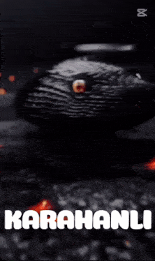 a black and white photo of a snake with the words karahanli on it