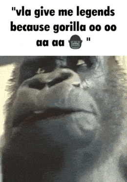 Monkey Gorilla GIF - Monkey Gorilla Vla GIFs