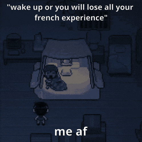 a screenshot of a video game that says " wake up or you will lose all your french experience me af "