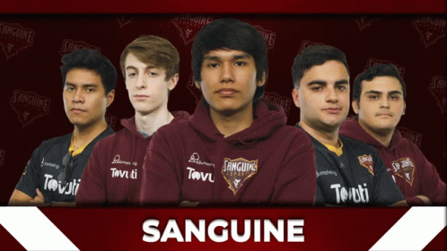 Sanguine Team GIF - Sanguine Team Squad GIFs