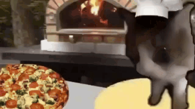 Cat Makin Pizza GIF - Cat Makin Pizza GIFs