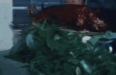 a man is standing in front of a large piece of meat .