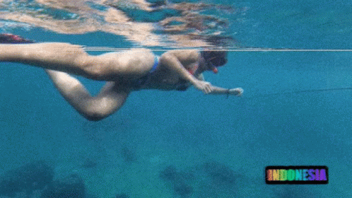 Indosimo Swimming GIF - Indosimo Swimming Snorkling GIFs