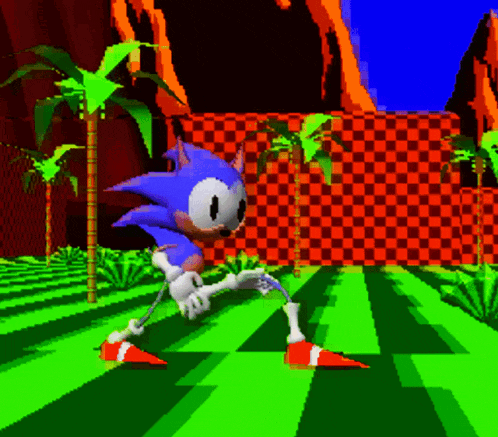 a sonic the hedgehog video game scene with a checkered wall in the background