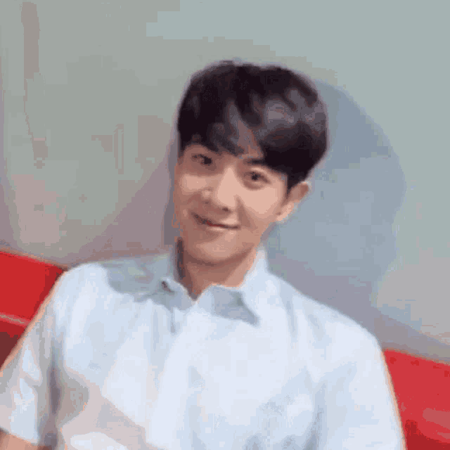 a young man wearing a blue shirt is sitting on a red couch .