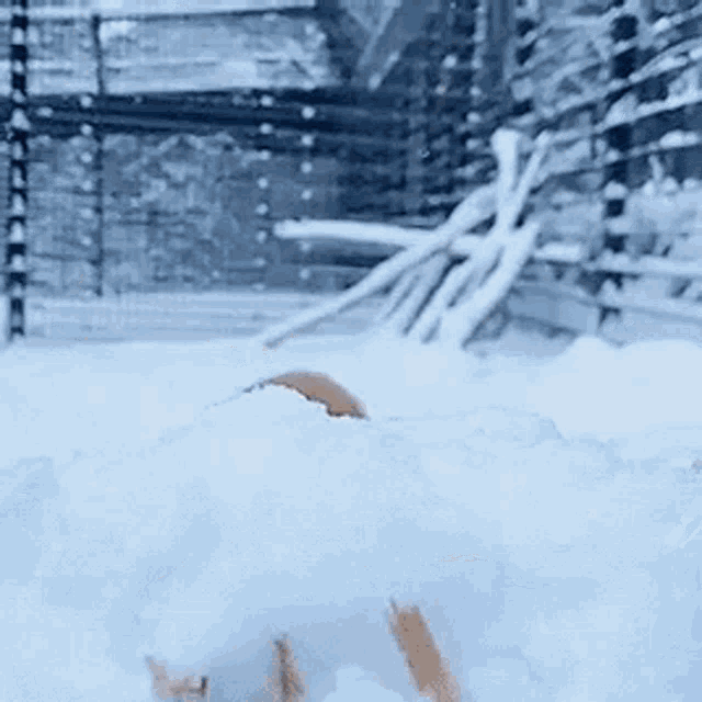 a person is laying in a pile of snow with skis .