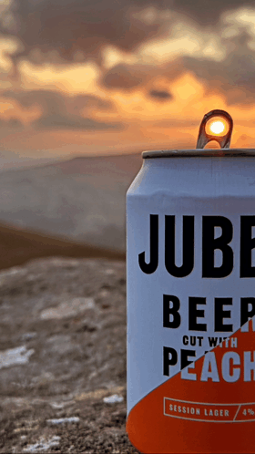 Jubel Sunset GIF - Jubel Sunset Beer GIFs