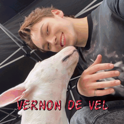 Vernon Svt Svt Vernon GIF - Vernon Svt Svt Vernon Svt GIFs