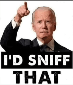 Joe Biden Sniff GIF - Joe Biden Biden Sniff GIFs
