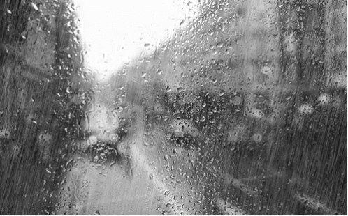 Rain Window GIF