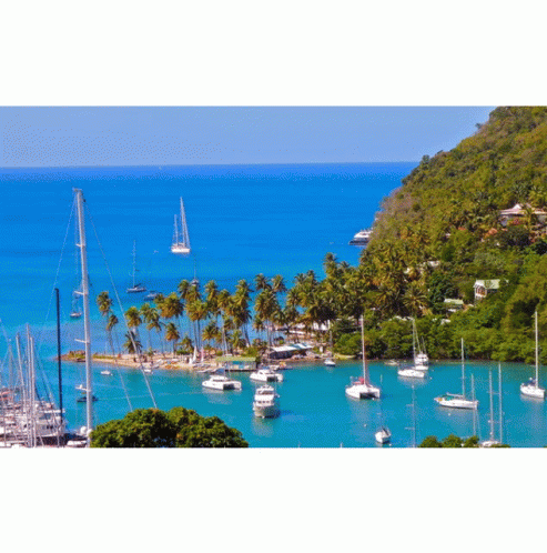 St Lucia Airport Transfer Vacation GIF - St Lucia Airport Transfer Vacation Nature GIFs