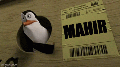Mahir Pinguin GIF - Mahir Pinguin GIFs