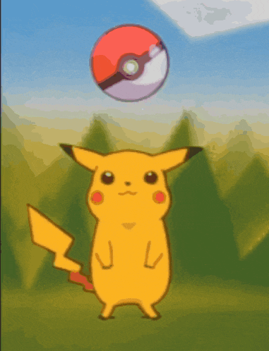 a pikachu stands in front of a red poke ball