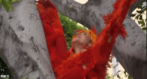 This Chick Can Dance GIF - Sytycd Chicks Contestant GIFs