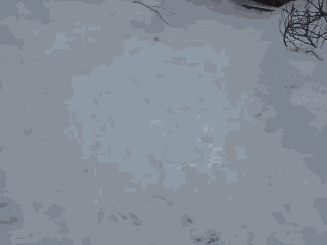 a person walking through a snowy area with a backpack on