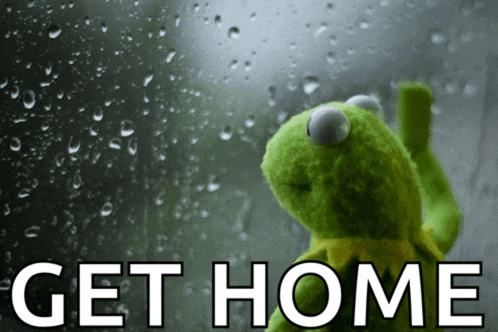 kermit the frog is looking out a window with the words get home written below him