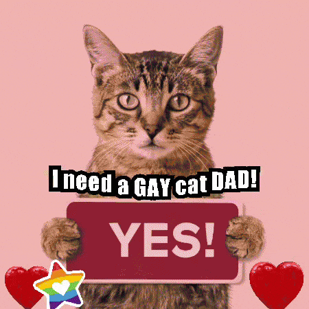 a cat is holding a sign that says i need a gay cat dad