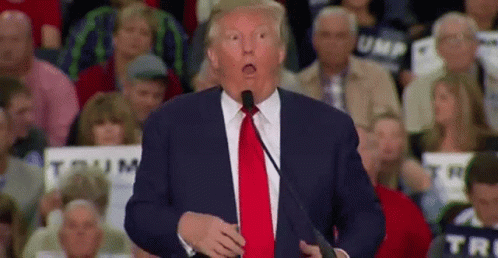 Donald Trump Shaking GIF - Donald Trump Shaking Speech GIFs