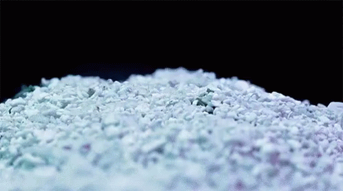 Coral GIF - Coral Coral Reef Ocean GIFs