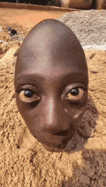 a statue of a child 's face is laying in the dirt