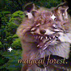 a picture of a cat with the words magical forest written on the bottom