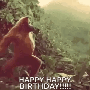 Monkey Ape GIF - Monkey Ape Dance GIFs