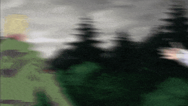 a blurry picture of a person standing in the woods