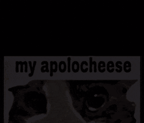 a close up of a cat with a sign that says my apologeese on it