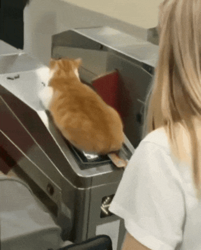 a cat sitting on top of a metal machine next to a woman in a white shirt