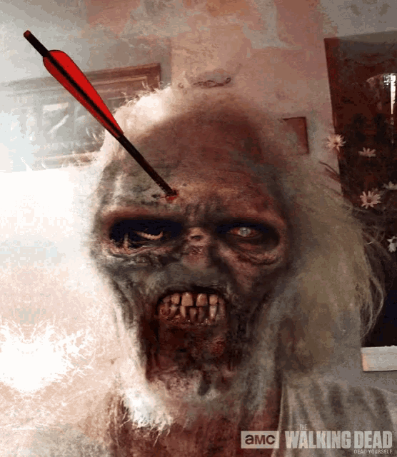 The Walking Dead Camera Filter GIF - The Walking Dead Camera Filter Scary GIFs