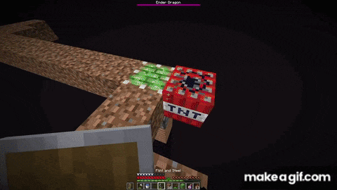 a screenshot of a minecraft game with the ender dragon