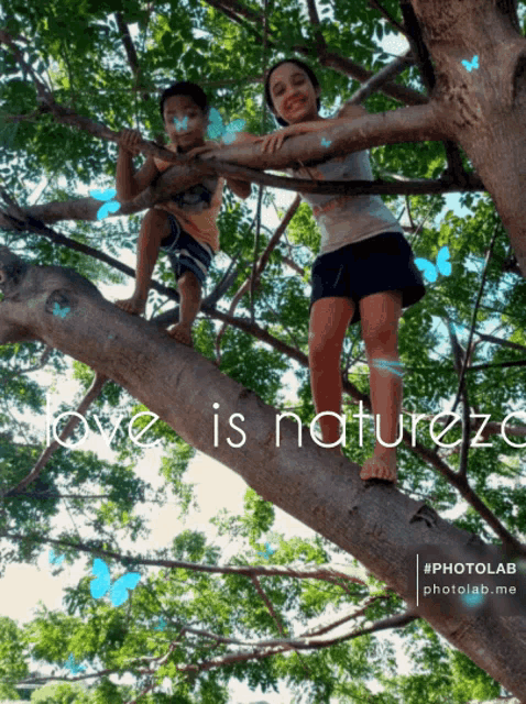 a boy and a girl are sitting on a tree branch with the words love is nature below them