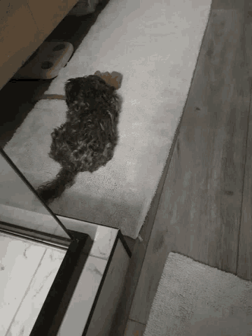 a stuffed animal is laying on a towel on a wall