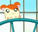 Hamster Driving GIF - Hamster Driving Happy GIFs