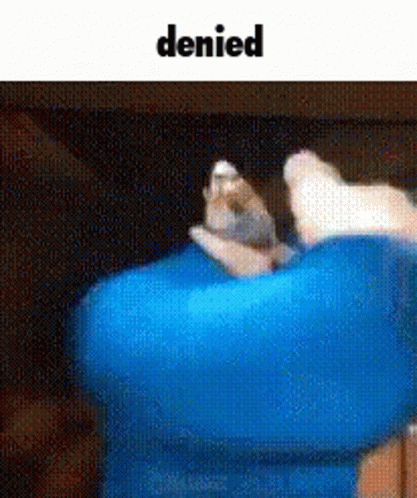 Denied Access Denied GIF - Denied Access Denied Slap GIFs