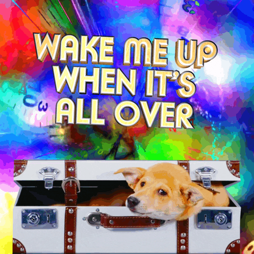 a dog laying in a suitcase with the words wake me up when it 's all over above it