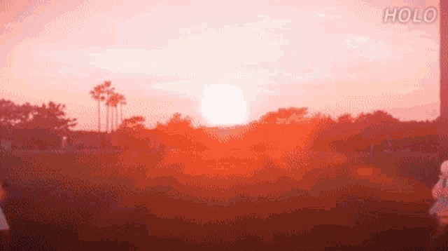 a sunset in a park with the word holo on the bottom right