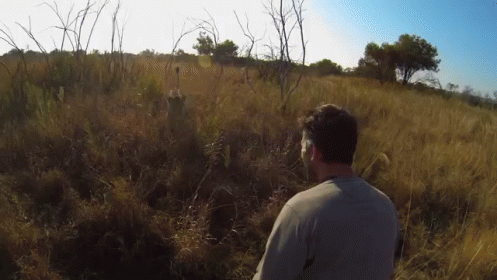 Lion Love! Too Much For One Man To Handle GIF - Lion Hug Love GIFs