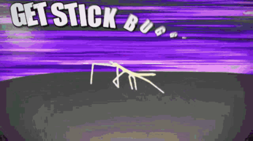 Stickbug GIF - Stickbug GIFs
