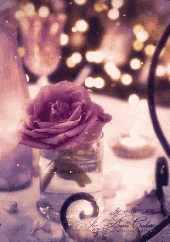 a purple rose in a glass with the name anne coletti written on the bottom