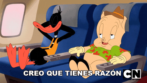 a cartoon of a pig and a duck with the words creo que tienes razon cn on the bottom