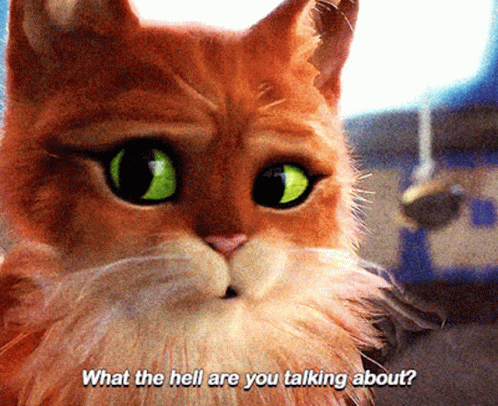 Puss In Boots What The Hell Are You Talking About GIF - Puss In Boots What The Hell Are You Talking About What Are You Talking About GIFs