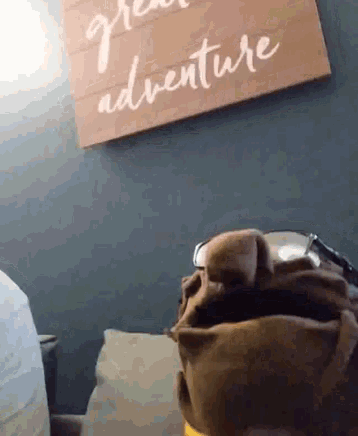 a sign that says " great adventure " hangs on a wall
