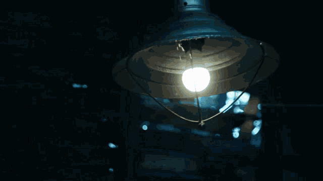 a light bulb hangs from a ceiling in the dark