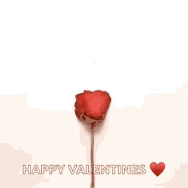 a heart made out of red rose petals with the words `` happy valentines '' written below it .