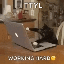 a cat is playing with a laptop computer on a table .