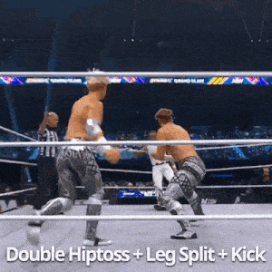 two men are wrestling in a ring with the words double hiptoss + leg split + kick written on the bottom