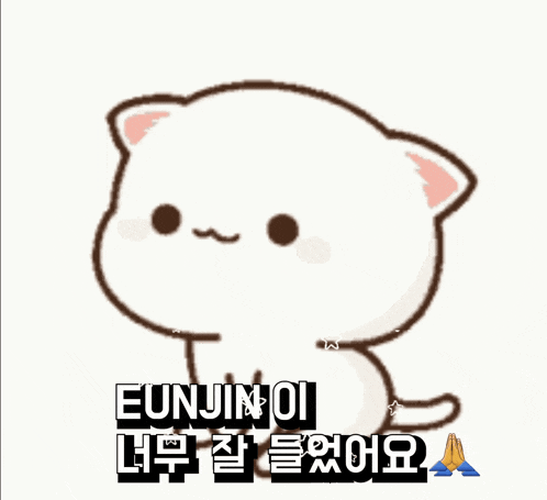 a picture of a cat with the words " eunin qi " on it