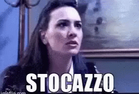 Sto Cazzo GIF - Stocazzo Whisper GIFs