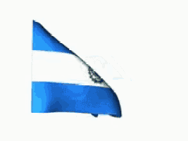 a blue and white flag waving in the wind on a white background